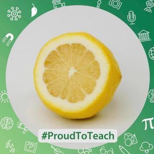 Meet your Posher, Ann